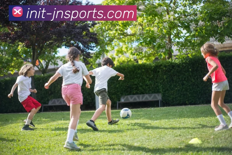 江南体育平台生态图